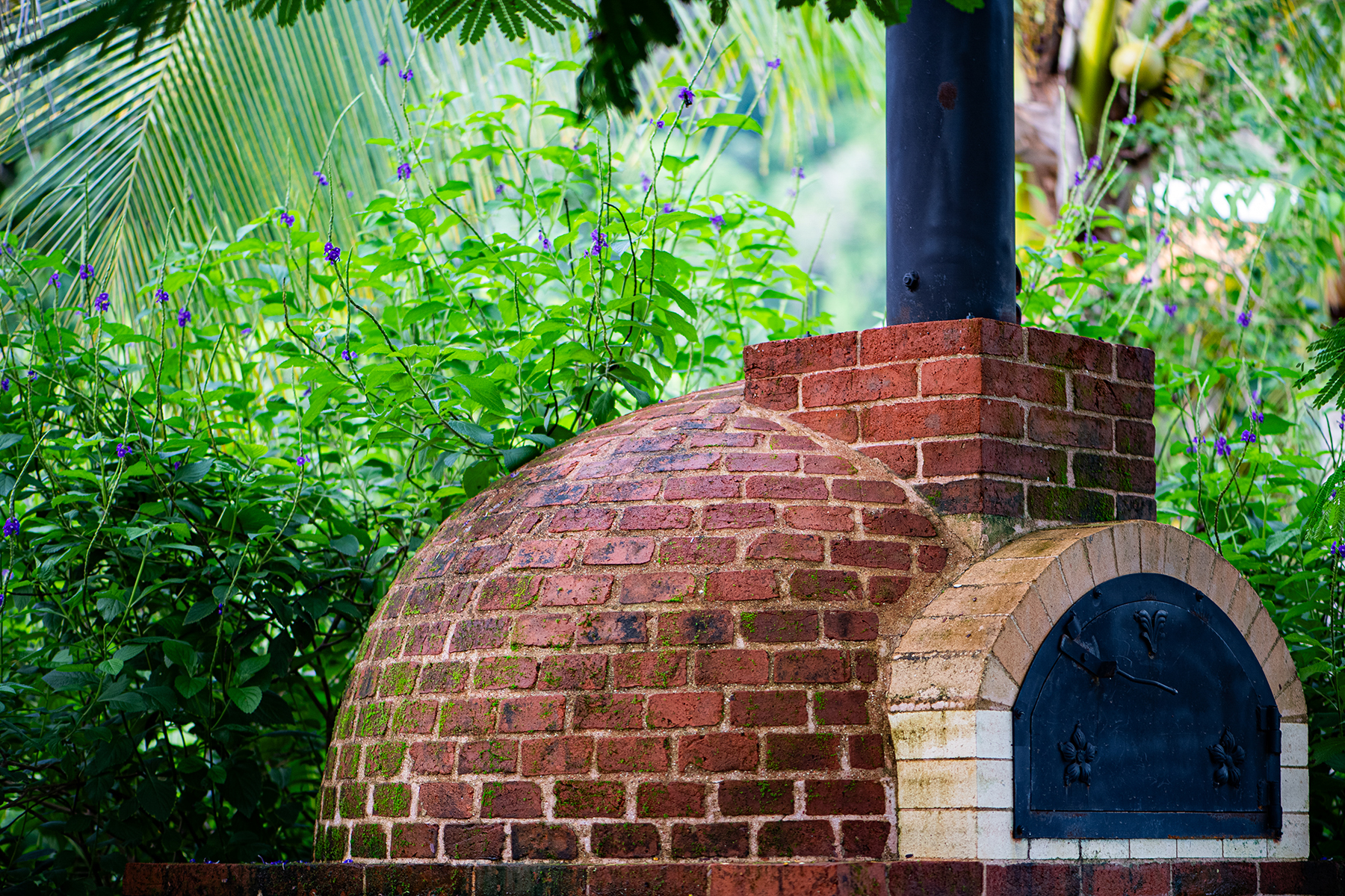 wood fired pizza oven — The Sanctuary Estate, Nosara, Costa Rica