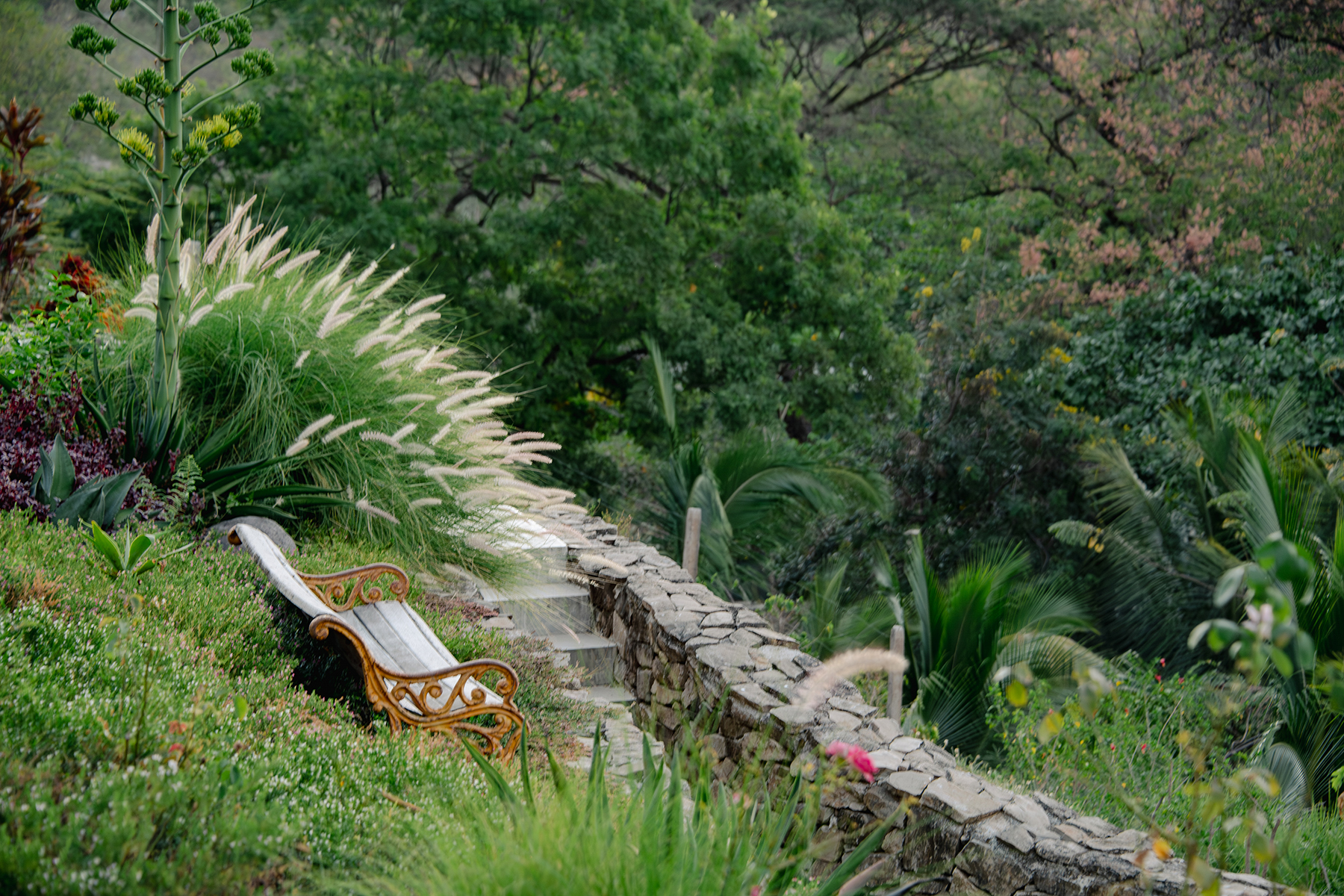 garden bench and stone steps — The Sanctuary Estate, Nosara, Costa Rica