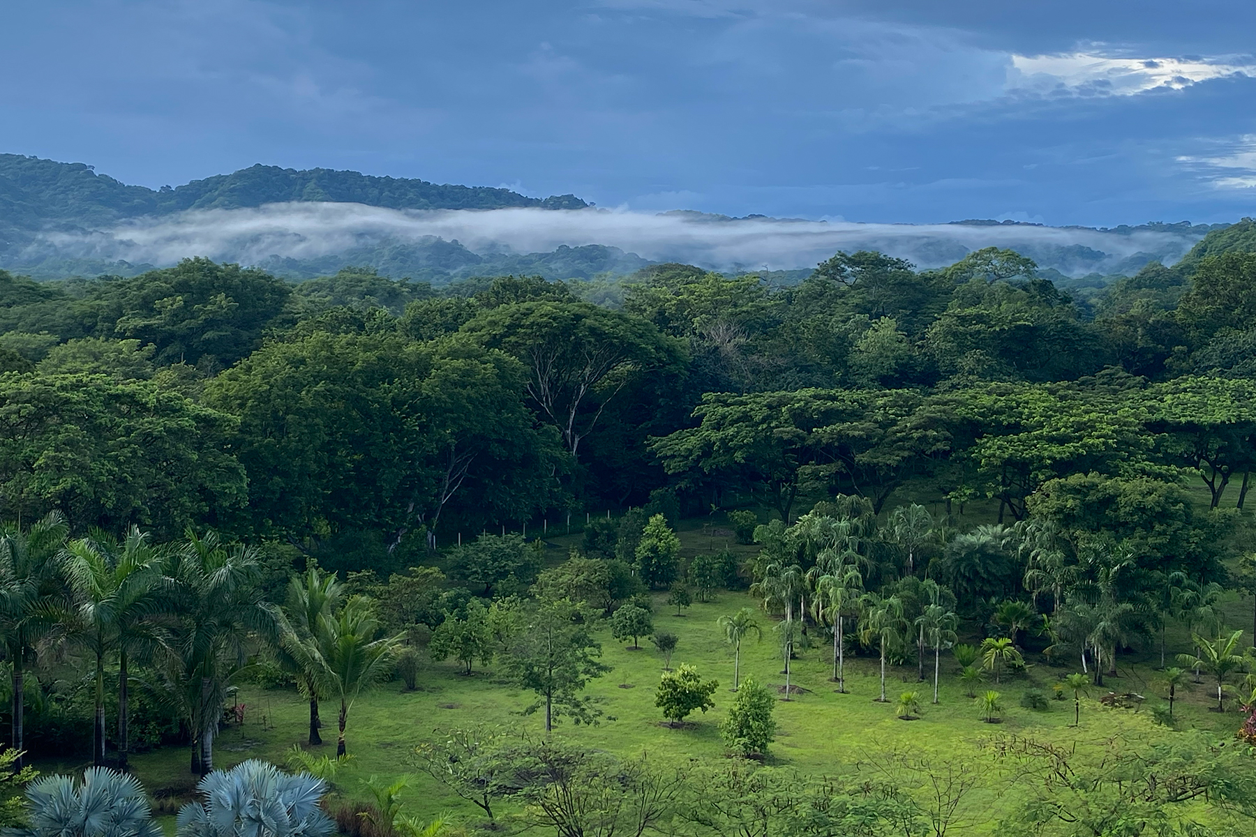 Estate grounds with misty mountains beyond, The Sanctuary Estate, Nosara, Costa Rica