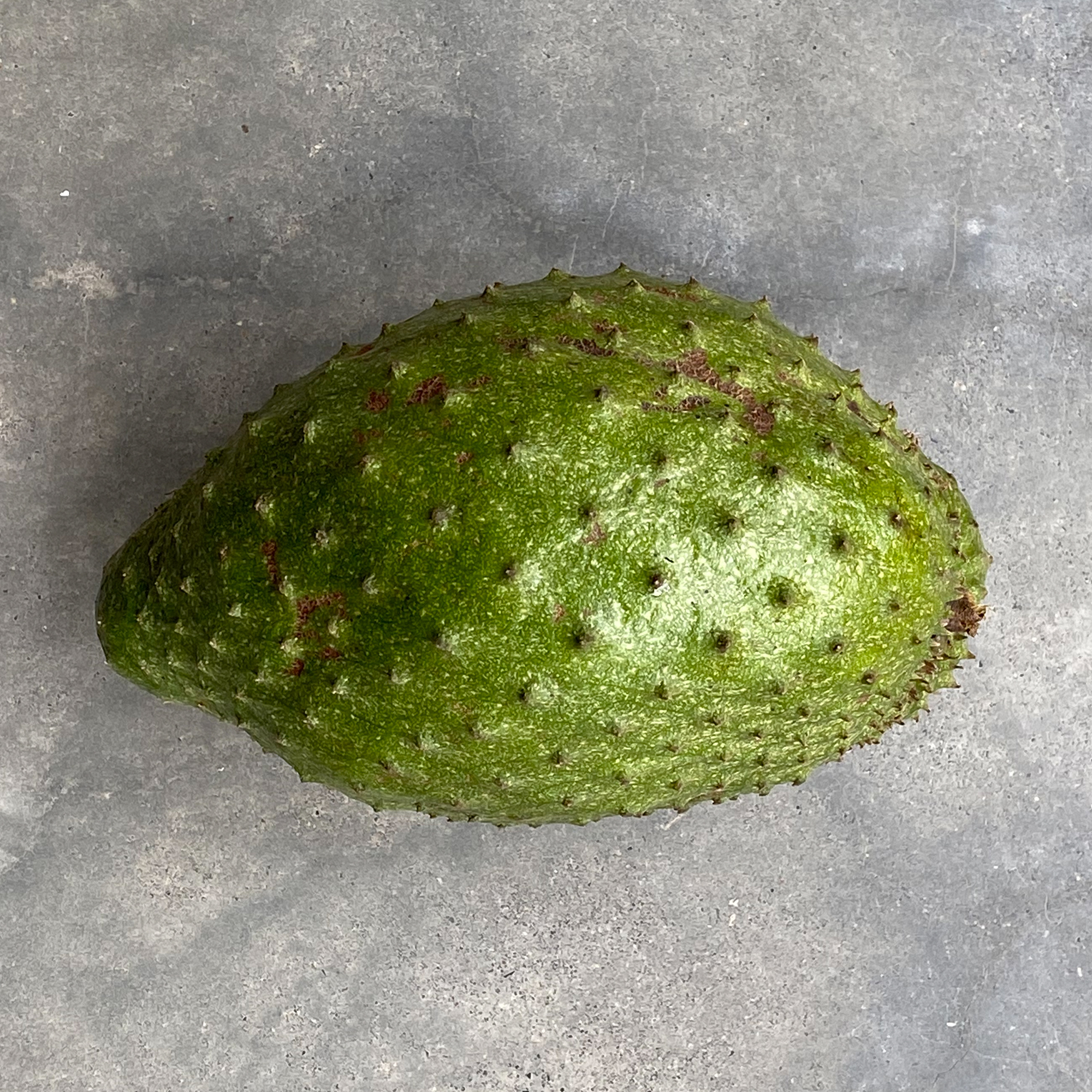 Soursop (Annona muricata)
