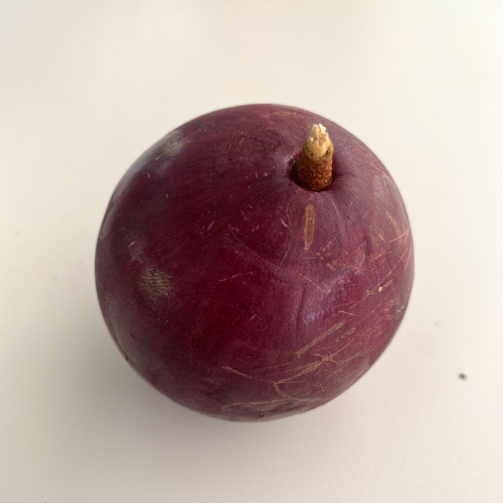 Star-apple (Chrysophyllum cainito)