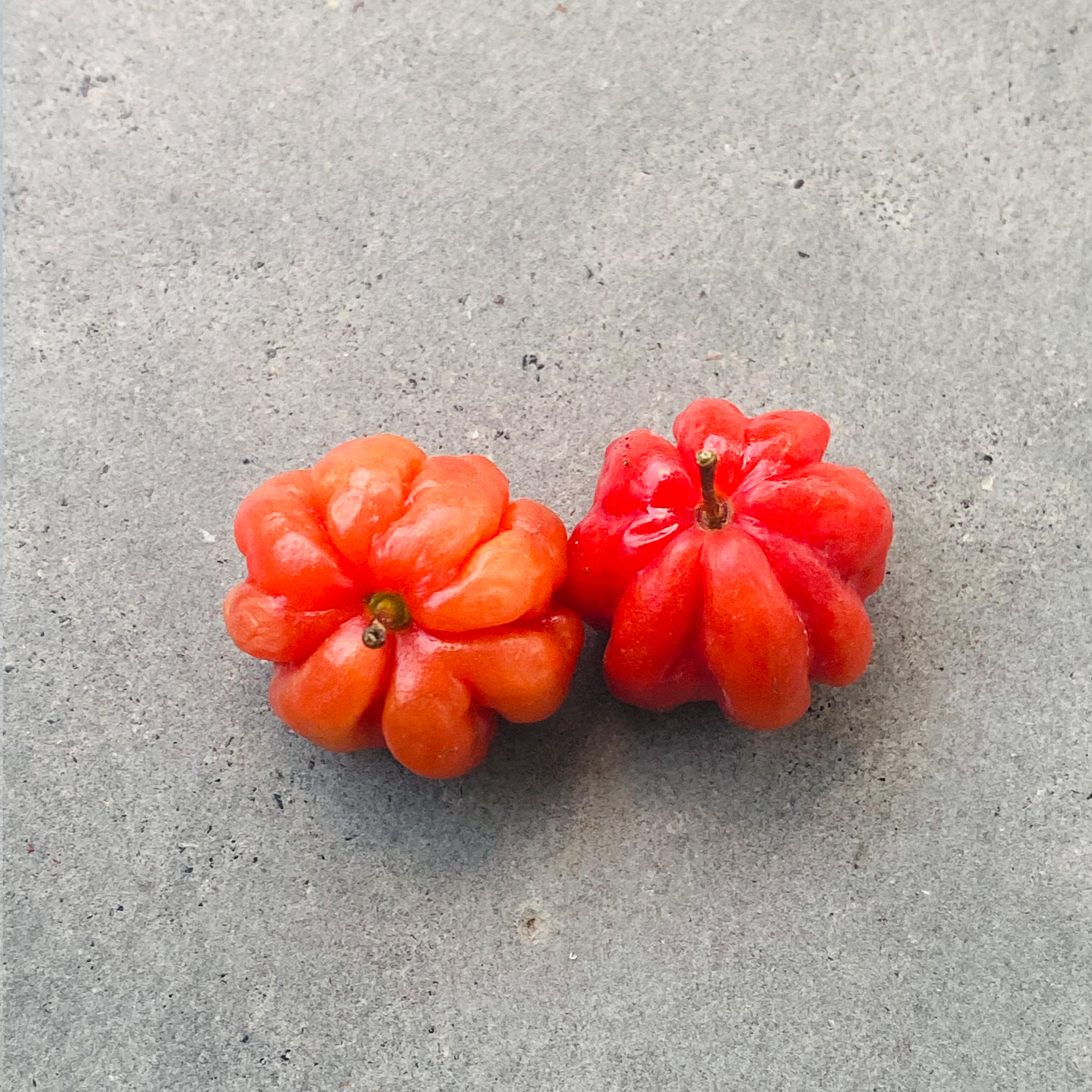 Surinam-cherry (Eugenia uniflora)