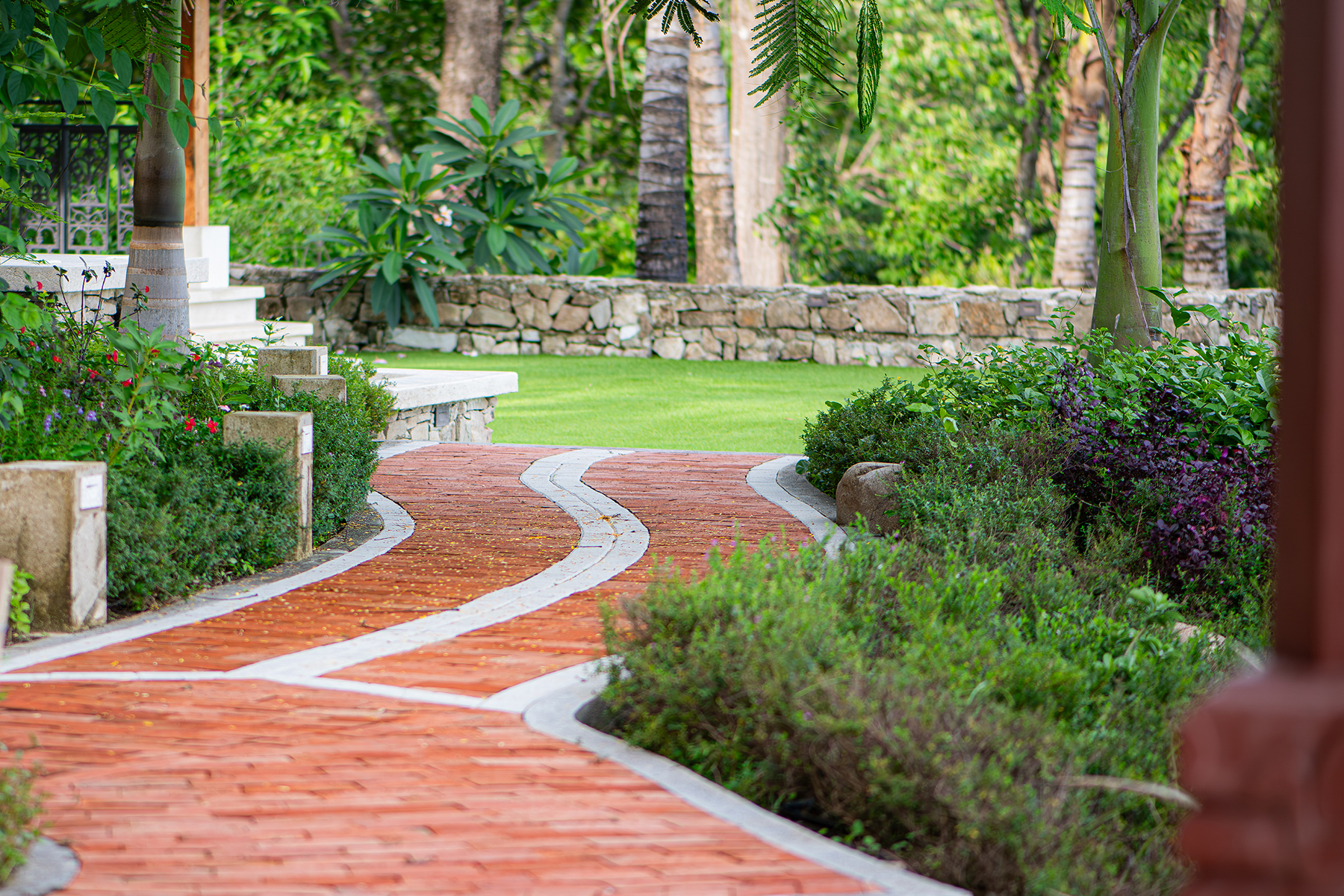 The Pool — photo collection from The Sanctuary Estate, Nosara, Costa Rica