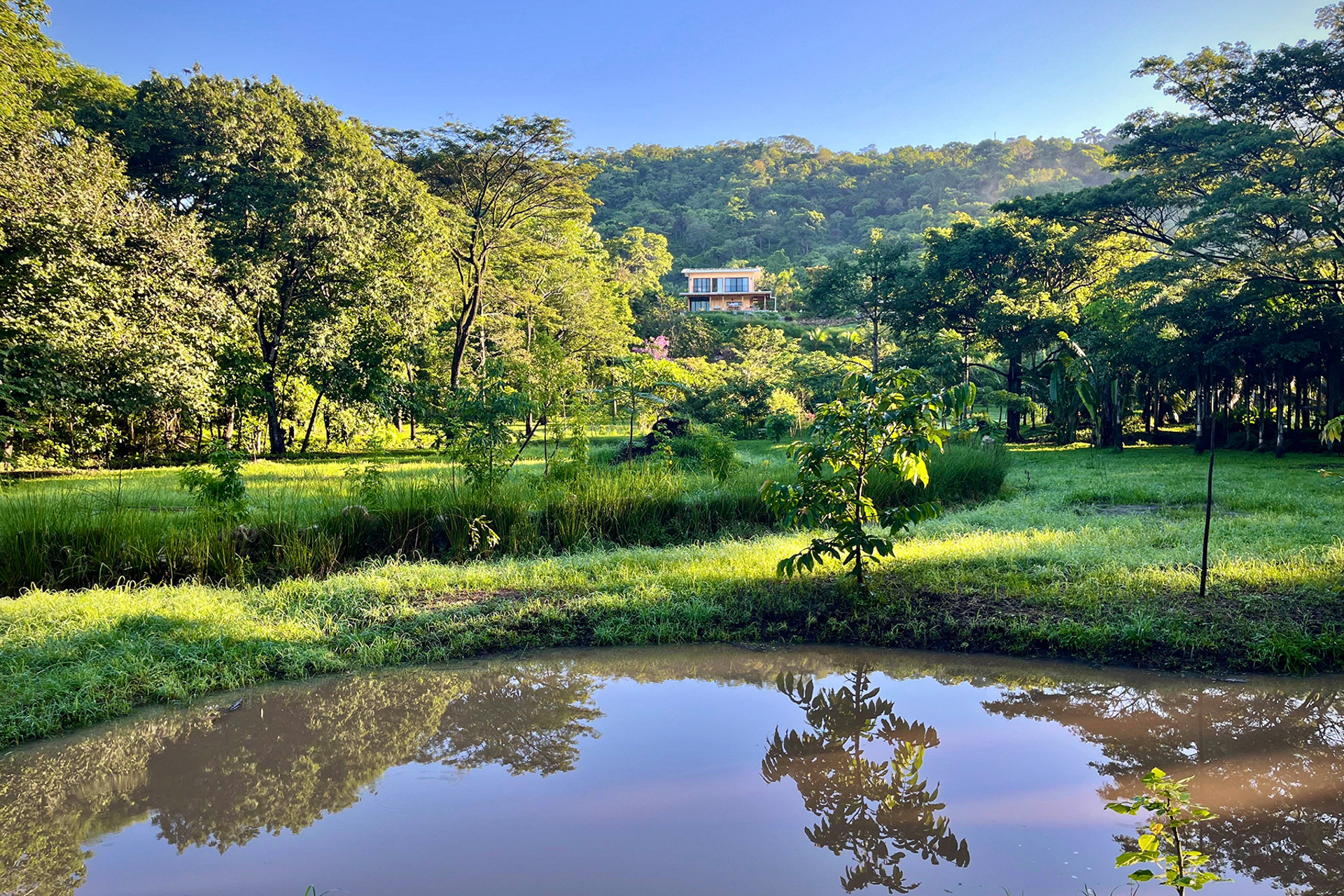 The residence at The Sanctuary Estate, with the seasonal pond on the adjoining parcel beyond, Nosara, Costa Rica